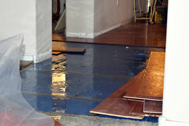 Professional Water Damage Restoration technician working in Midfield, TX